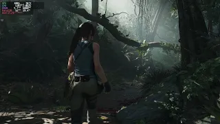 Linux | Shadow of the Tomb Raider - 1660 Ti, max settings, Vulkan