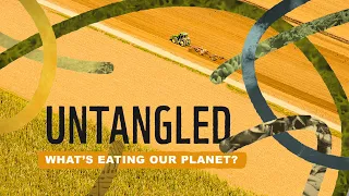 Untangled: What's eating our planet?