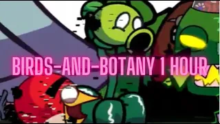 Friday Night Funkin Birds And Botany 1 Hour VS Glitched Legends