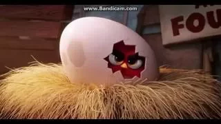 The Angry Birds Movie - Red's Angry Story