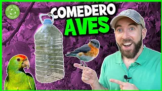 🐦Cómo hacer un COMEDERO y BEBEDERO Casero para PÁJAROS reutilizando BOTELLA de PLÁSTICO (Muy fácil)