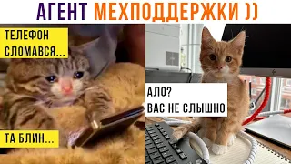 Агент МЕХподдержки ))) Приколы с котами | Мемозг 1253