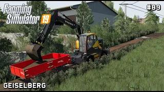 Volvo EWR 150E | Public Works | Geiselberg | Farming Simulator 19 | Episode 89