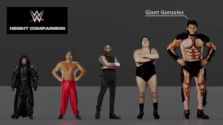 WWE Wrestlers Height Comparison | 3D Animation Size Comparison