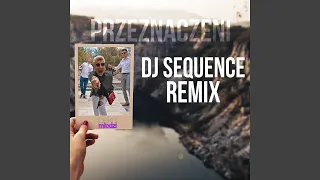 Przeznaczeni (DJ Sequence Remix)