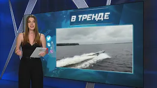 СБУ и нефтяной российский танкер SIG - 1:0 | В ТРЕНДЕ