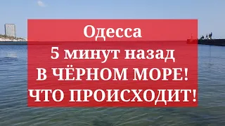 Одесса 5 минут назад. В ЧЁРНОМ МОРЕ! ЧТО ПРОИСХОДИТ!