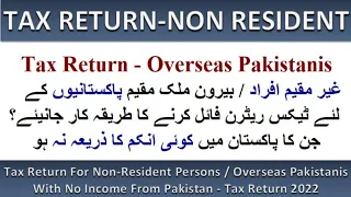 Tax Return For Non-Resident Persons/Overseas Pakistanis With No Income From Pakistan-Tax Return 2022