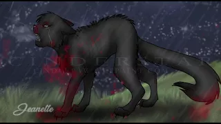 Hollyleaf || Look What You Made Me Do