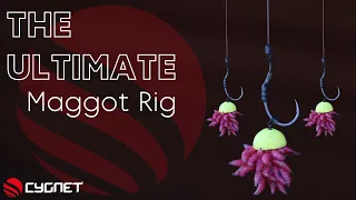 How To Tie A Maggot Rig For Carp | Wafter Maggot Rigs | Winter Carp Fishing