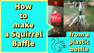 How to make a Squirrel Baffle from a plastic bottle