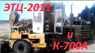 Редкий экскаватор дреноукладчик  ЭТЦ 2011 и К 700А   Rare excavator pulling machine ETC 2011