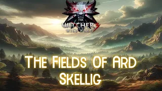 The Witcher 3 The Fields Of Ard Skellig 1 hour