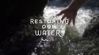 Restoring Our Waters