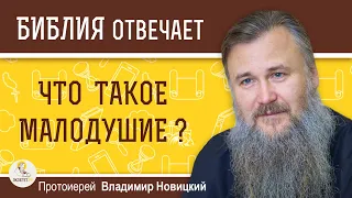 Что такое малодушие ?  Протоиерей Владимир Новицкий