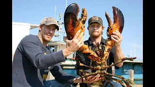 From Catch to Retail: The Lobster Fisherman's Journey