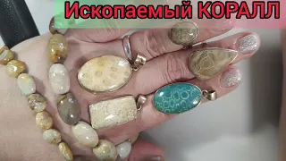 Ископаемый КОРАЛЛ