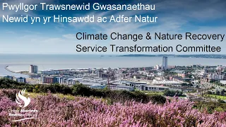 Swansea Council - Climate Change & Nature Recovery Service Transformation Committee  15 April 2024