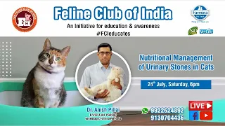 Webinar #23: Nutritional Management of Urinary Stones in Cats