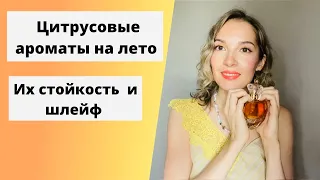 Мои любимые цитрусовые ароматы на лето. Цитрусовые летние парфюмы. Про их стойкость, шлейф.