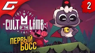 ПЕРВЫЙ БОСС ➤ Cult of the Lamb ◉ Прохождение #2