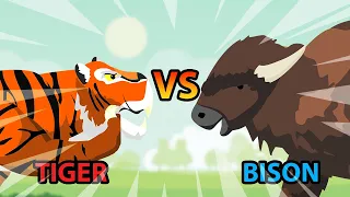 Tiger vs Bison | Carnivores vs Herbivores [S1] | Animal Animation