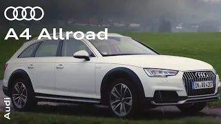 The Audi A4 allroad in action