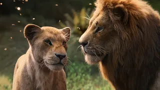 The Lion King (2019) - Can You Feel The Love Tonight (Standard Arabic) 🇶🇦 [Audio Only]