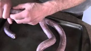 How To Make Bear Sausage