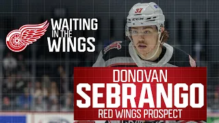 Waiting in the Wings | Donovan Sebrango