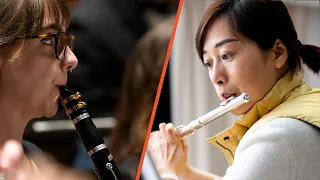 Clarinet vs Flute: What's The Difference? [2023]