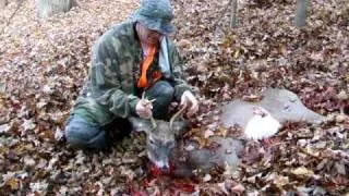 Meet "Rhodie" The Westchester New York Buck