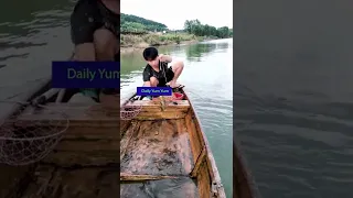 Daily Line Fishing in river at home #001561 #birdsfishing #fishing