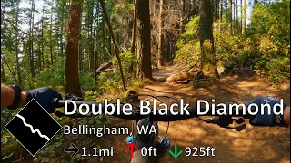 Double Black Diamond - Chuckanut Mountain - Bellingham, WA