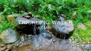 Nature's Lullaby 3 Hour Pure Trickling Water Soundscape | No Music