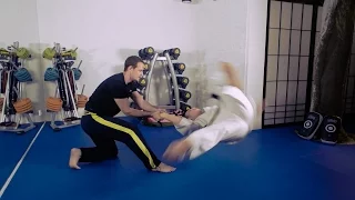 Pinning Options from Hapkido Style Whipping Throw | Tom Fazio