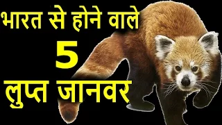 भारत से होने वाले 5 लुप्त जानवर | Top 5 Endangered species of india I lupt janwar I  Indian Animals