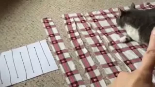 How to cut sheets into one long strip of fabric.