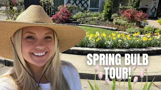 Spring Bulb Tour! 🌷🌷🌷 Tulips, Daffodils, Anemones and More! Small Space Home Gardening