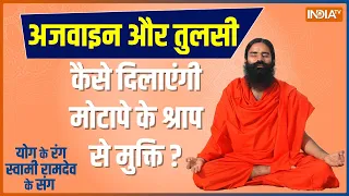 YOGA TIPS: योगगुरू Ramdev का वेटलॉस सेशन दिलाएगा मोटापे के श्राप से मुक्ति ? | Weight Loss Yoga