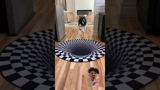 Dogs funny reaction with optical illusion Rug 😄 #shorts #subscribe