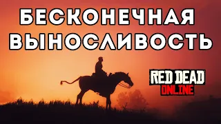 Гайд. Как прокачать лошадь, чтобы она никогда не уставала. Red Dead Online. Макрос AHK.