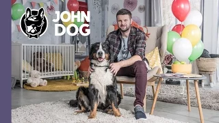 Pies a dziecko, czyli jak przygotować psa na przyjście dziecka - TRENING PSA - John Dog