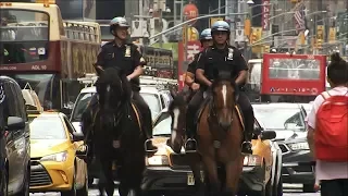 NYPD Mounted Unit [I.S.O. - In Search Of]