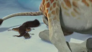Bridget the giraffe crush squirrel with her butt | The Wild (2006)