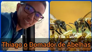 Thiago o Domador de Abelhas