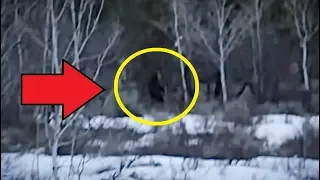 GIANT SIZED BIGFOOT ON VIDEO!! - Scared Mountain Hiker Films A Real Life Sasquatch On Camera!!