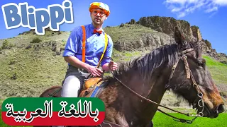 حلقة بليبي يزور مزرعة | بلبي بالعربي | كرتون اطفال و بليبي للصغار | Blippi Arabic Visits a Ranch