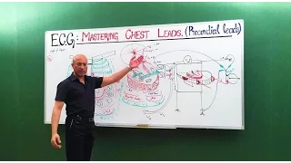 ECG | EKG | Chest Leads | Cardiology | Dr Najeeb