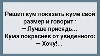 Решил Кум Показать Куме Свой Размер! Сборник Свежих Анекдотов! Юмор!